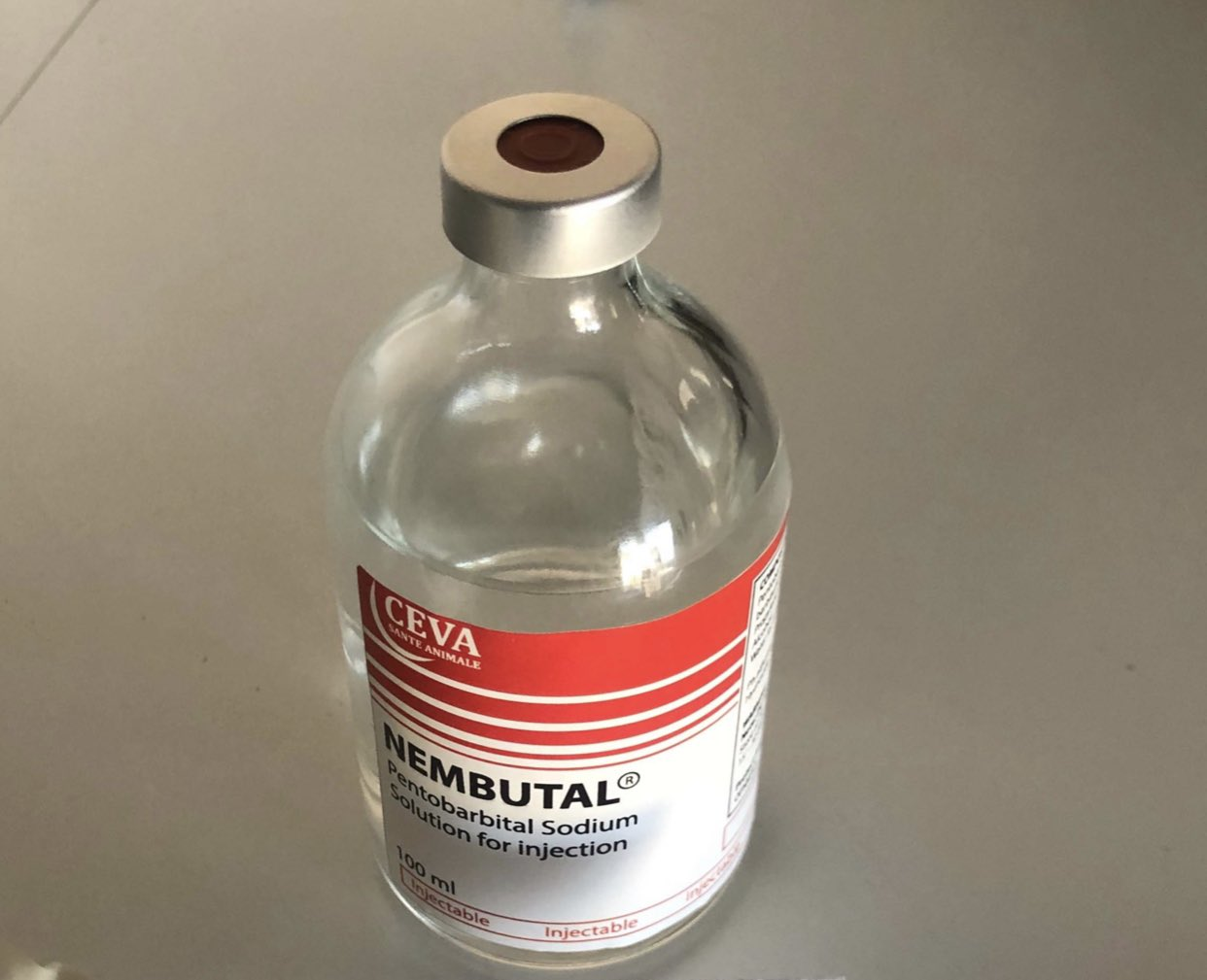 Comprar solución oral de pentobarbital sin receta tcealq47{@}duck{.}com Ordenar solución oral de pentobarbital en línea
